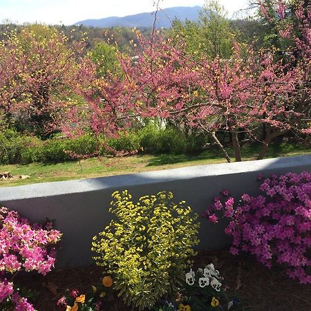 Biltmore Village Inn B&B Asheville Exterior foto